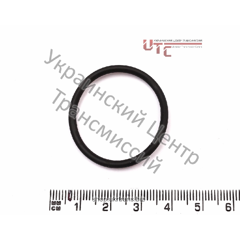 O-кольцо (2,61мм / 29,81мм)